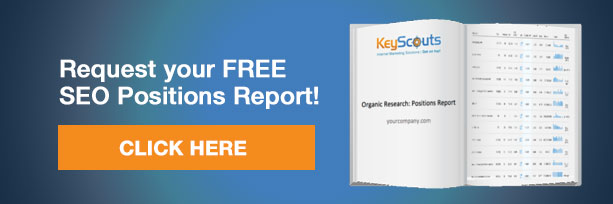 SEO Positions Report Request