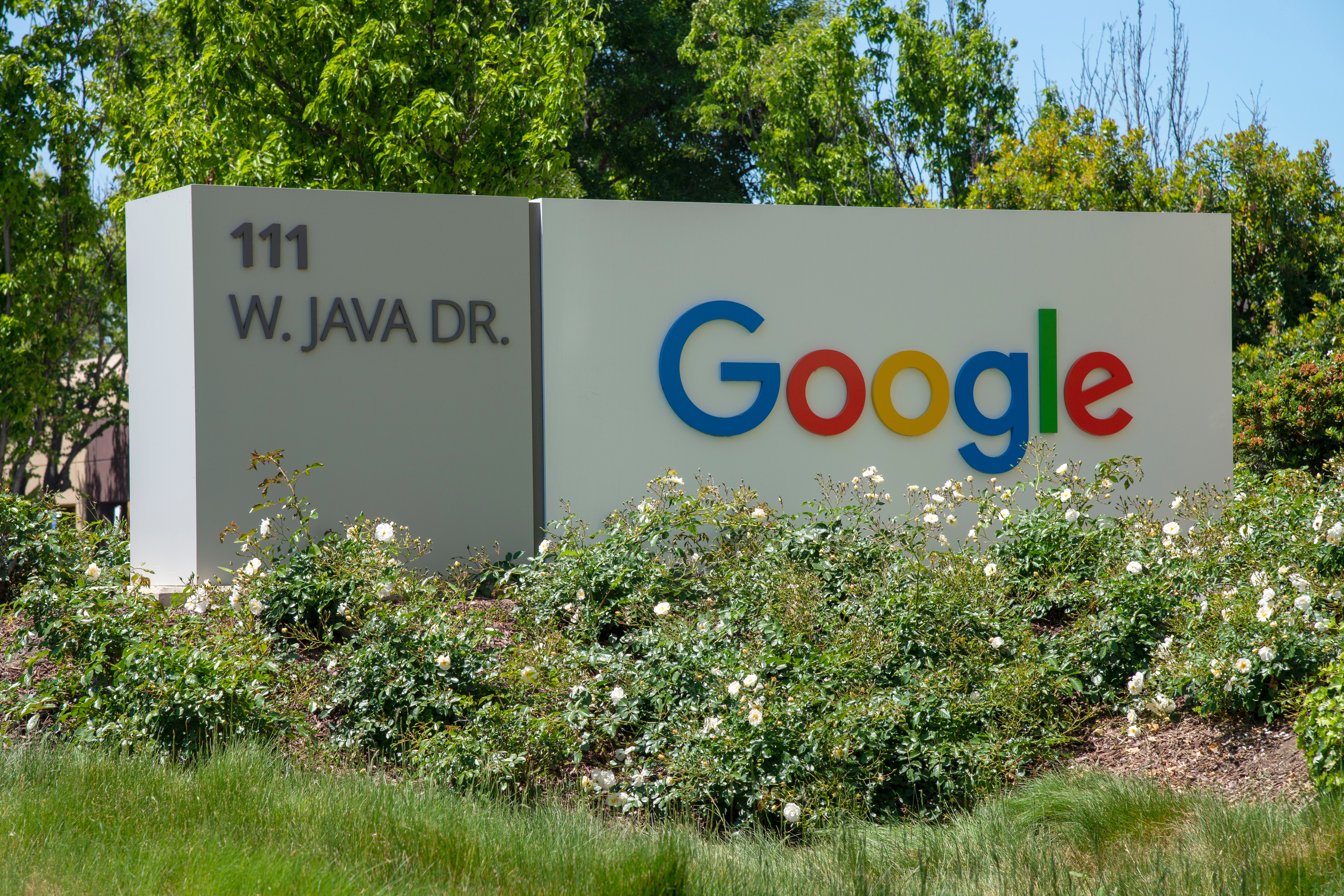 How Companies can Improve their Google Rankings 
